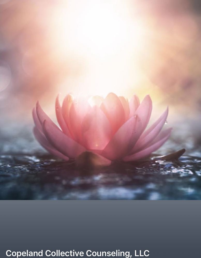 Copeland Collective Counseling - grief counselor in Nashville, TN