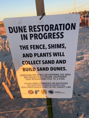 South Ponto Beach by null