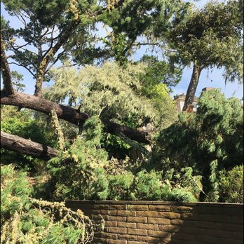 Iverson's Tree Service - Tree Services Near Me - Carmel VAlley, California Iverson's Tree Service - Tree Services Near Me - Carmel VAlley, California