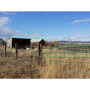 Small Dog Realty - 500 Madison Rd. Thirty acres,shop,fenced for horses. - Real Estate Services Near Me - Bozeman, Montana