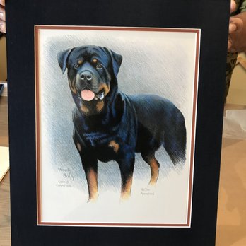Pictures Plus - Kakaako - Woolly Bully.  Picture taken after mounting but before framing and glass case completed. - Art Galleries Near Me - Honolulu, Hawaii