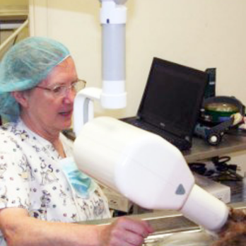 TLC For Pets - Veterinarians Near Me - Reisterstown, Maryland TLC For Pets - Veterinarians Near Me - Reisterstown, Maryland
