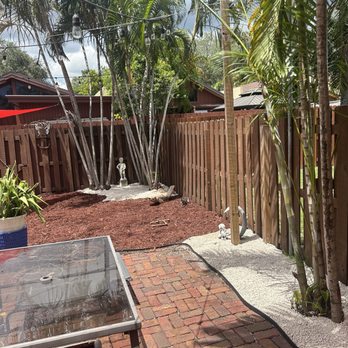Bnm Unlimited Services - Tree Services Near Me Bnm Unlimited Services - Tree Services Near Me