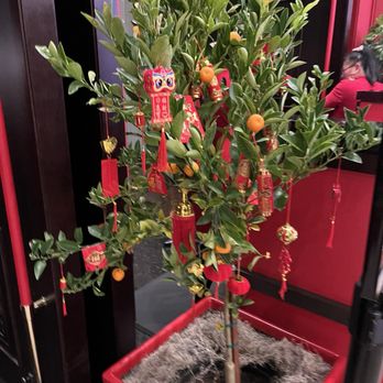 Dragon Beaux - Good luck tree - Chinese Near Me - Elk Grove, California Dragon Beaux - Good luck tree - Chinese Near Me - Elk Grove, California