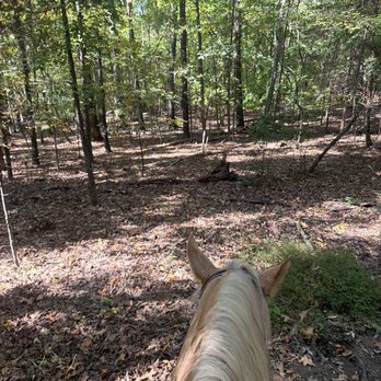 Dead Broke Farm - Horseback Riding Near Me - Raleigh, North Carolina Dead Broke Farm - Horseback Riding Near Me - Raleigh, North Carolina