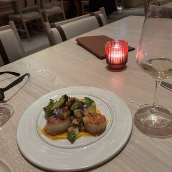 Ash - Scallops - Italian Near Me - Tampa, Florida Ash - Scallops - Italian Near Me - Tampa, Florida