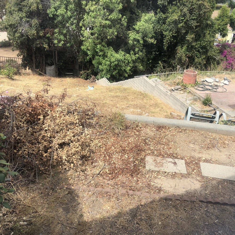 Vision Turf & Pavers - The before - Artificial Turf Near Me - Orange, California Vision Turf & Pavers - The before - Artificial Turf Near Me - Orange, California