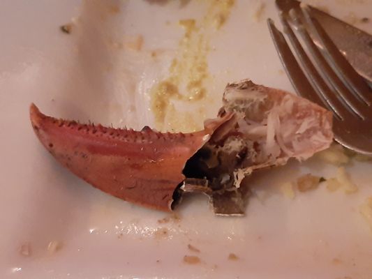 Christinas on the Danforth by null