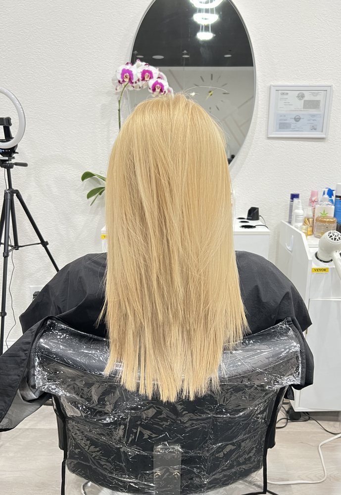 WISDOM SALON AND SPA 117 Photos & 20 Reviews 2300 Longport Ct, Elk