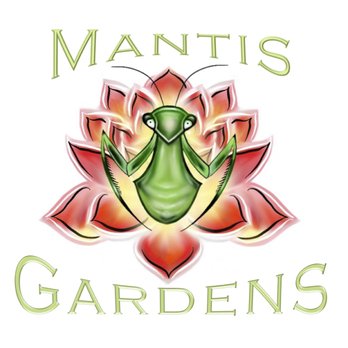 Mantis Gardens - a mantis sitting on a lotus flower - Gardeners Near Me Mantis Gardens - a mantis sitting on a lotus flower - Gardeners Near Me