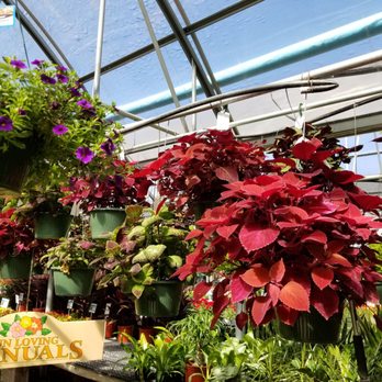 Panhandle Greenhouses - Nurseries & Gardening Near Me - Amarillo, Texas Panhandle Greenhouses - Nurseries & Gardening Near Me - Amarillo, Texas