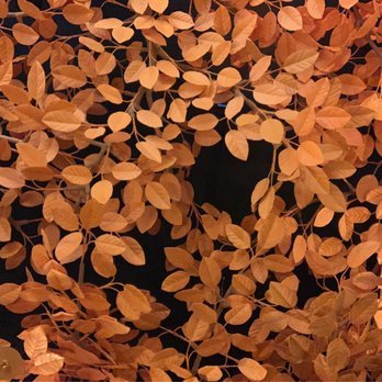 Sushisamba - Fall ceiling - Asian Fusion Near Me - Las Vegas, Nevada