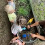 Stephanie's Family Child Care & Preschool