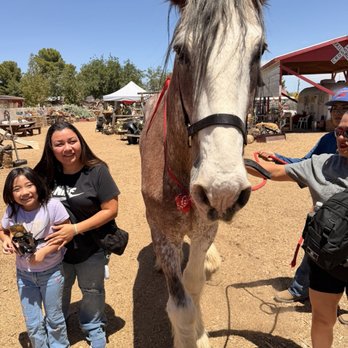McKee Ranch - Soooo they say this horse don't bite but it does be careful. - Ranches Near Me - Las Vegas, Nevada McKee Ranch - Soooo they say this horse don't bite but it does be careful. - Ranches Near Me - Las Vegas, Nevada