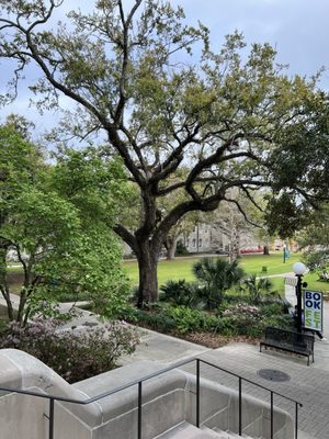 Tulane University by null