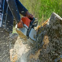 K & S Tree Service