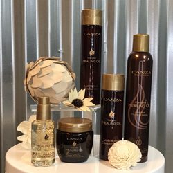 Salon 17 Spa and Boutique - Lanza healing color and products