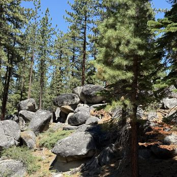 Tahoe Sleigh & Carriage Rides - Tours Near Me - Stateline, Nevada Tahoe Sleigh & Carriage Rides - Tours Near Me - Stateline, Nevada