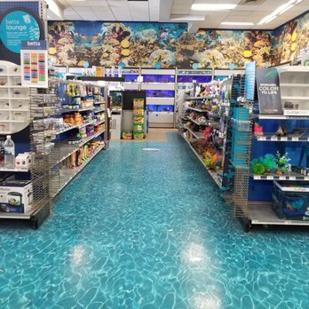 Petco - Fish and lizard area - Pet Stores Near Me - Clackamas, Oregon Petco - Fish and lizard area - Pet Stores Near Me - Clackamas, Oregon