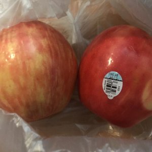 Trout Blue Chelan on Yelp