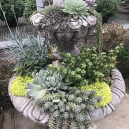 Displays for succulents are creative and gorgeous! Displays for succulents are creative and gorgeous!