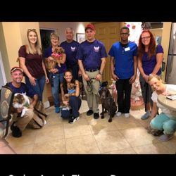 Sit Means Sit West Houston - Therapy dogs