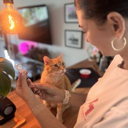 The P'Au Pair - Diabetic Kat-Kare