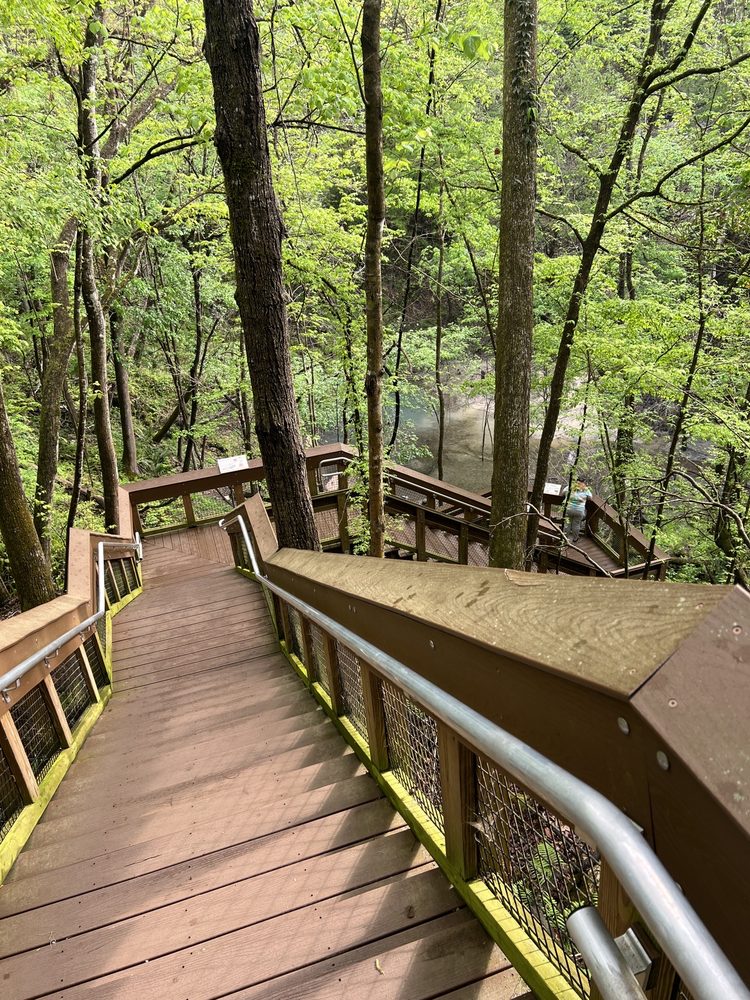 Devil's Millhopper State Geological Site Image