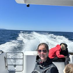 Auckland's Whale and Dolphin Safari - The wake on the way back