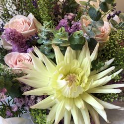 The Flower Bar & School