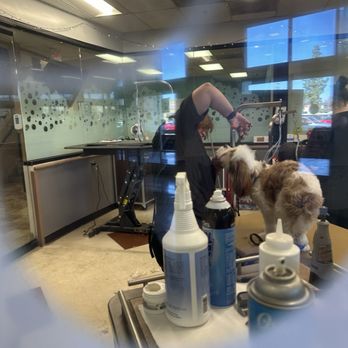 PetSmart Dog Training - Pet Stores Near Me - El Cajon, California PetSmart Dog Training - Pet Stores Near Me - El Cajon, California