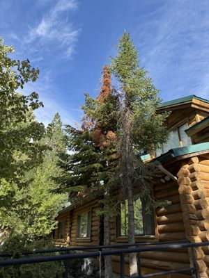 Alaskan Inn and Spa by null