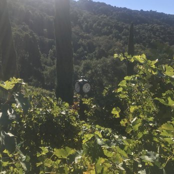 La Rusticana d'Orsa - Cool clock peeping through the grape vines - Wineries Near Me - Los Gatos, California La Rusticana d'Orsa - Cool clock peeping through the grape vines - Wineries Near Me - Los Gatos, California