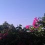 Photo of Villa Salkım