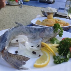 Gaststätte Schwenk-Saal - Lecker Forelle