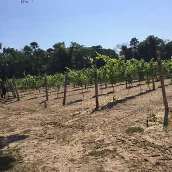 Loughlin Vineyard - Wineries Near Me - Sayville, New York Loughlin Vineyard - Wineries Near Me - Sayville, New York