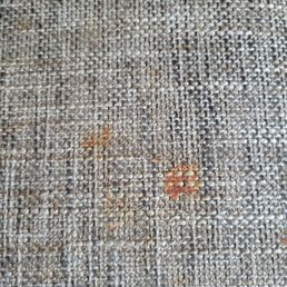 Stained couch