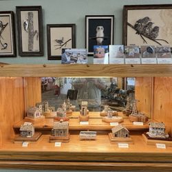 Petrified Wood Gallery