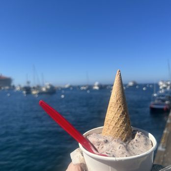 Scoops Homemade Ice Cream - Gelato Near Me - Avalon, California