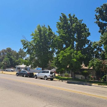 Mid-Valley Tree Service - Before - Tree Services Near Me - Fresno, California Mid-Valley Tree Service - Before - Tree Services Near Me - Fresno, California