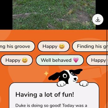 Barking Bubbles - Screenshot of the Daily updates - Pet Groomers Near Me - belchertown, Massachusetts Barking Bubbles - Screenshot of the Daily updates - Pet Groomers Near Me - belchertown, Massachusetts