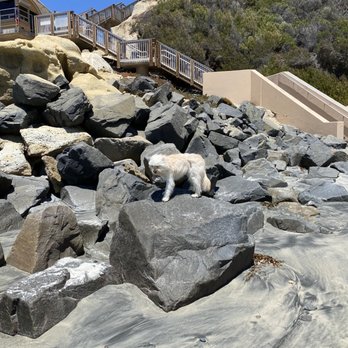 Del Mar North Beach - End of dog beach. - Beaches Near Me - Del Mar, California