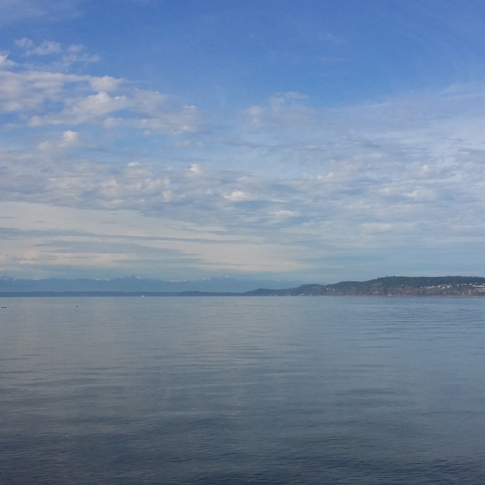 Sunnyside Beach Park - Stunning! - Parks Near Me - Steilacoom, Washington Sunnyside Beach Park - Stunning! - Parks Near Me - Steilacoom, Washington