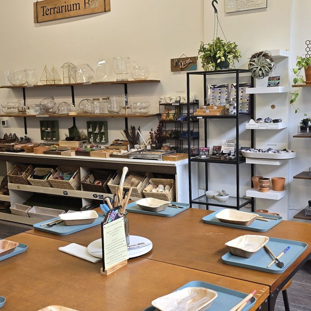 Now and Zen DIY Studio - Nurseries & Gardening Near Me - Dayton, Ohio