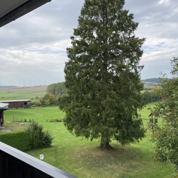 Hotel Schoos - Ausblick vom Balkon - Hotels Near Me - Fleringen, RP