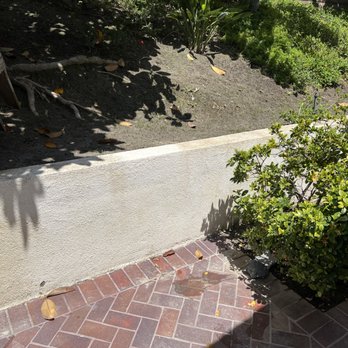 Scrubbing SoCal - Algae removal on retaining wall (After) - Pressure Washers Near Me - Riverside, California