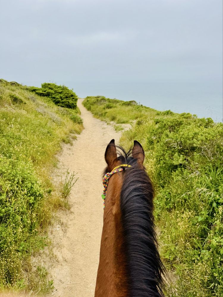 Five Brooks Camp - equestrian in Olema, CA