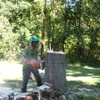 Happy Trunk Tree Service - This is Devin, working his butt off in my backyard. They made quick work of this monster. - Tree Services Near Me Happy Trunk Tree Service - This is Devin, working his butt off in my backyard. They made quick work of this monster. - Tree Services Near Me