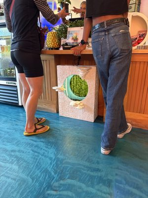 Queer Plants Cafe by null