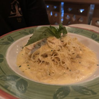 Limoncello - Chicken Alfredo - Italian Near Me - Cancún, ROO Limoncello - Chicken Alfredo - Italian Near Me - Cancún, ROO